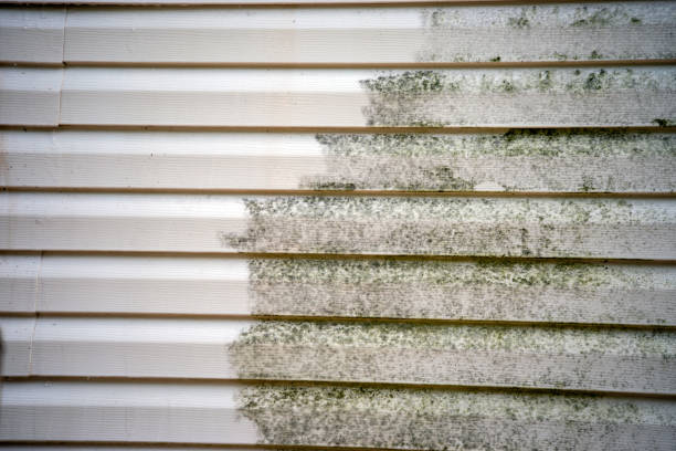 How To Choose The Right Materials for Your Siding Installation in 'Elko, NV