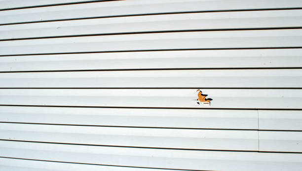 Best Aluminum Siding Installation  in Elko, NV